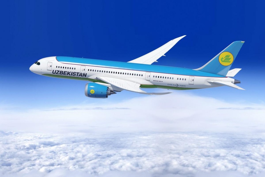 Сенаторы направили Uzbekistan Airways запрос об упрощении требований по продаже билетов