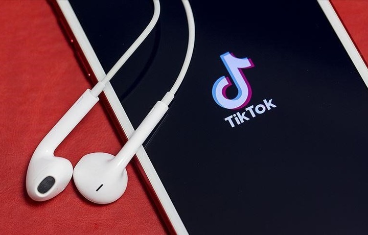 Во Франции создали комиссию по TikTok