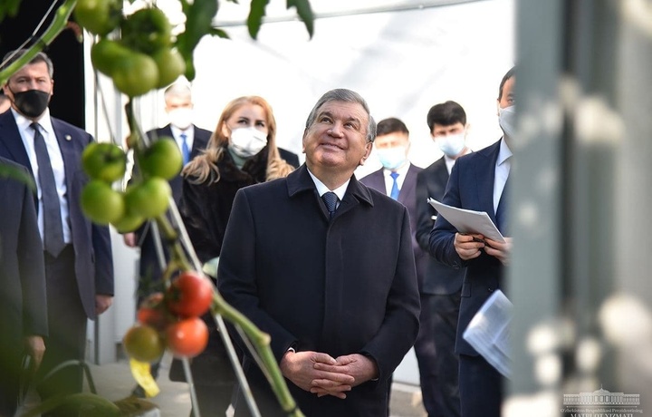 Президент в Хорезме посетил инновационный тепличный комплекс «пятого поколения» (фото)