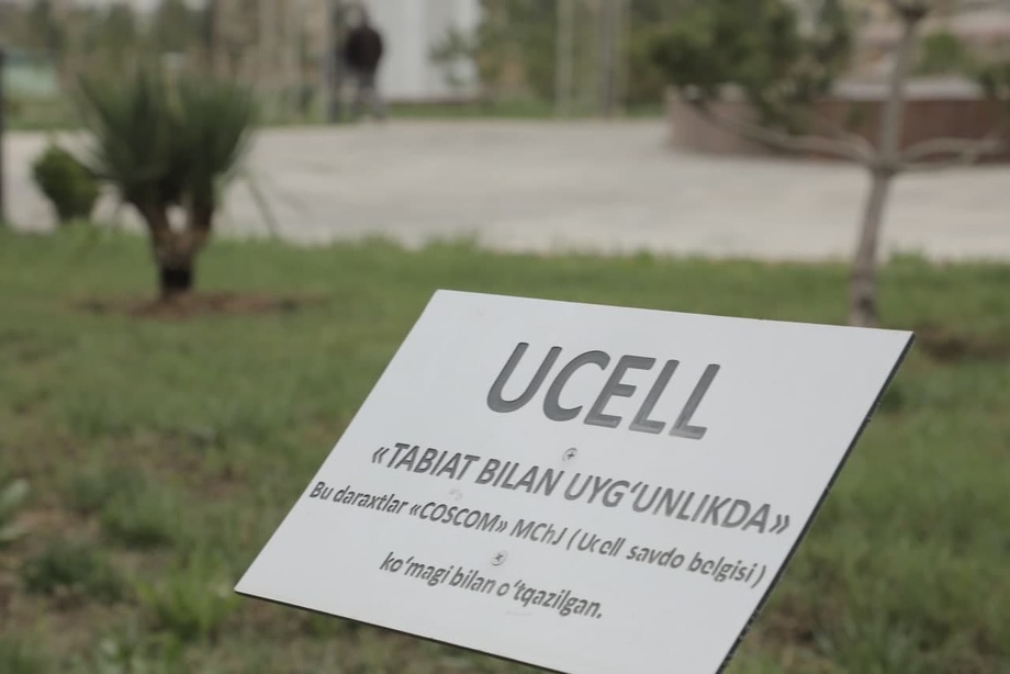 Ucell: Қаршида 500 туп қарағай экилди (видео)