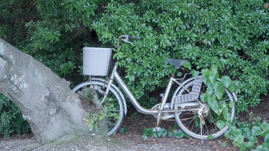 Гитлеру причислили крупнейшую кражу велосипедов в истории Дании