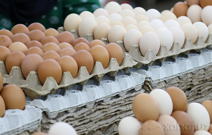 Производство яиц в Узбекистане заметно выросло