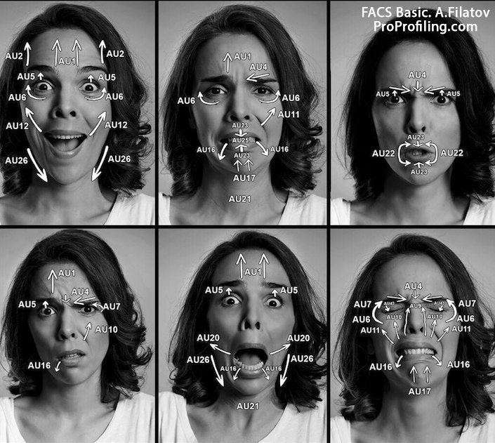 Нейросеть делает фото по описанию. Эмоции FACS. FACS система кодирования лицевых движений. Пол Экман система кодирования лицевых движений. Эмоции распознавания лиц.