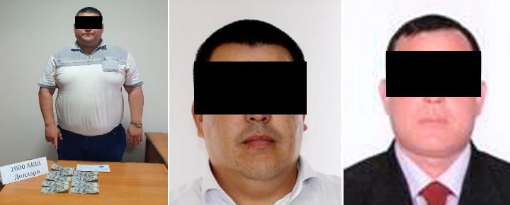 Таълимдаги порахўрлик занжири фош этилди