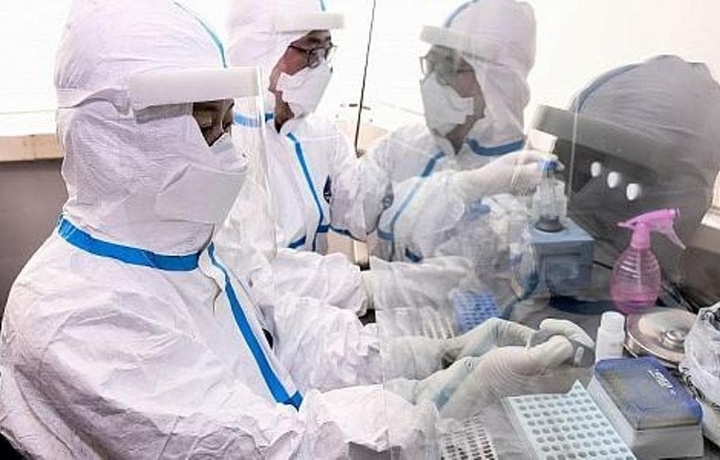 ВОЗ создаст новую группу экспертов для выяснения происхождения COVID-19