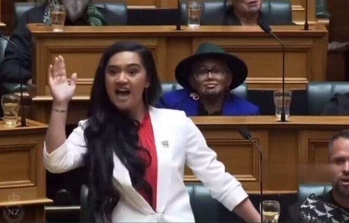 Yangi zelandiyalik deputat internet yulduziga aylandi (video)