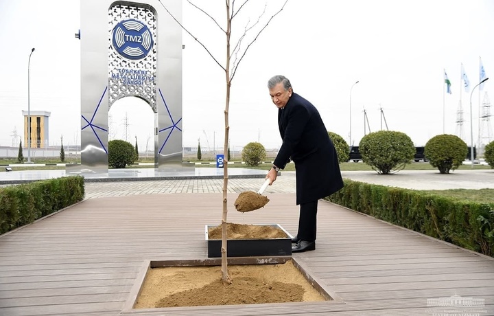 Shavkat Mirziyoyev yangi zavod hududida daraxt ko‘chati ekdi