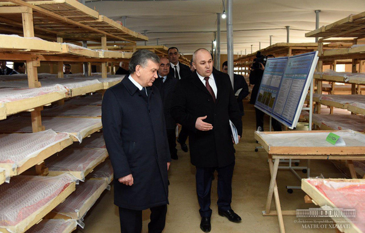 Shavkat Mirziyoyev Termizdagi innovatsion pillaxona bilan tanishdi