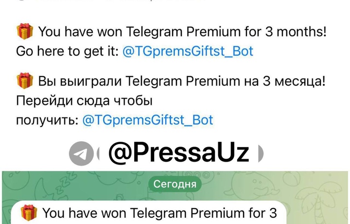 Узбекистанцев пытаются развести бесплатной подпиской Telegram Premium