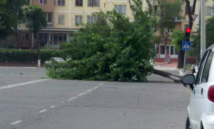 Toshkent shahri aholisi ogohlantirildi