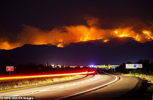 Arizona aholisi tabiiy yong‘inlar tufayli xavfsiz joyga ko‘chirildi