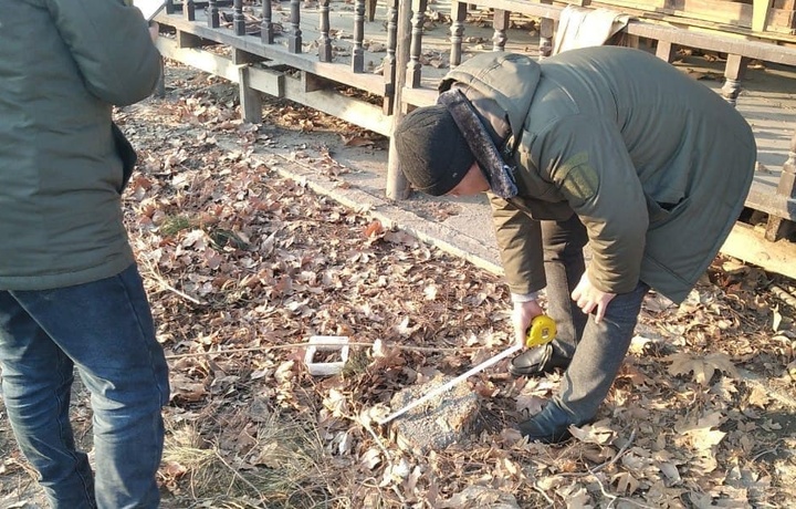 Бутун Ўзбекистонда мораторий, Андижонда эса яна ўнлаб дарахтлар кесилди