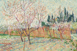 Vinsent Van Gogning «Sarvlar bilan o‘ralgan mevali bog‘» asari.