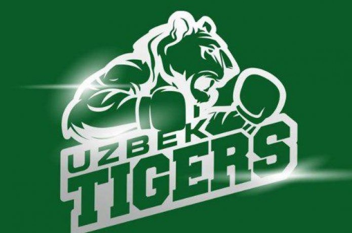 «Uzbek Tigers» Бутунжаҳон бокс сериясидан чиқариб юборилди