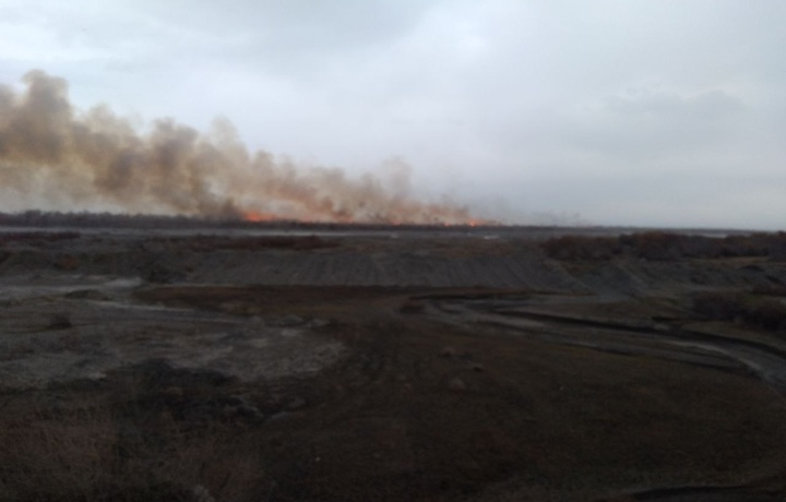В Зарафшанском природном парке произошёл пожар, ущерб оценён в 120,7 млн сумов