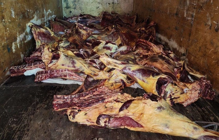 В Ташкент пытались ввезти почти тонну мяса неизвестного происхождения