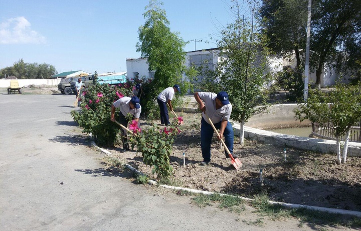 В выходные в Узбекистане пройдет всенародный хашар