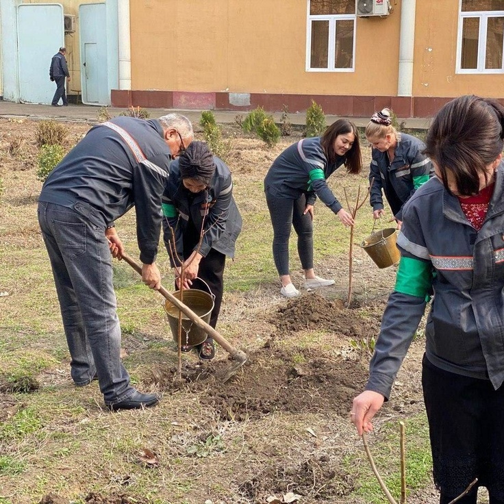 Ўз янгиликлари. Тарих экиш. Бодом кучат экиш. Ток экиш. Бугунг кун янгиликлари.