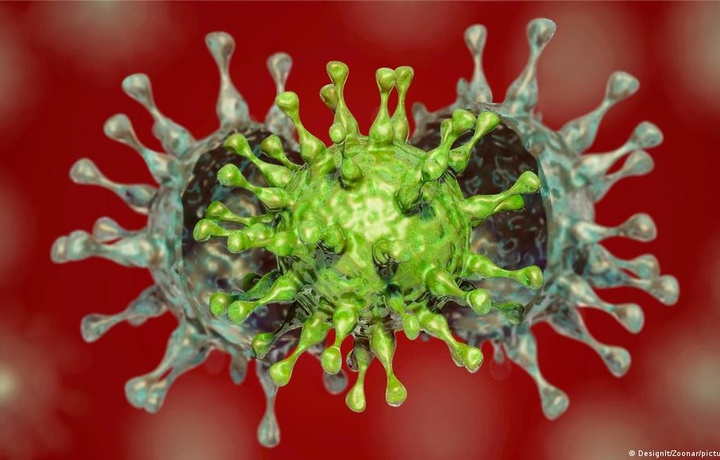 Yoz oxiriga borib delta-virus butun Yevropani egallaydi