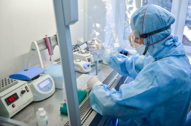 В Узбекистане за 11 часов не зафиксировано ни одного случая заражения коронавирусом