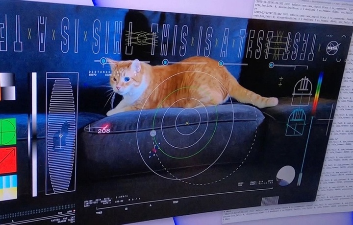 Видео с котом передало НАСА с расстояния 31 млн километров