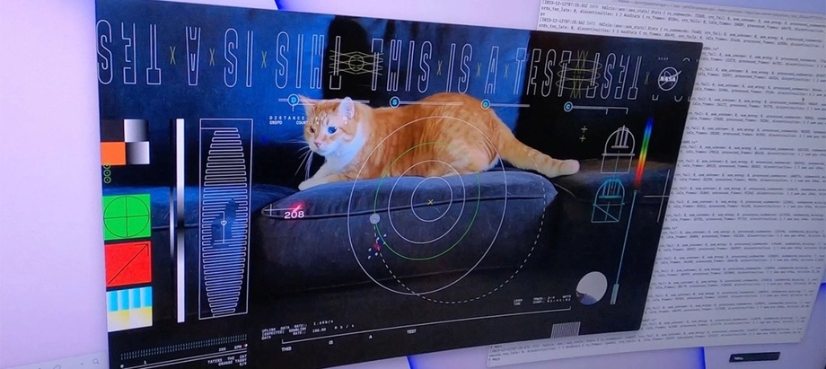 Видео с котом передало НАСА с расстояния 31 млн километров