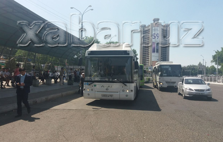 Тошкент кўчаларида янги автобуслар пайдо бўлди (фото)