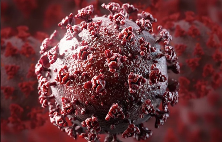 Janubiy Afrikada koronavirusning yangi xavfli turi aniqlandi