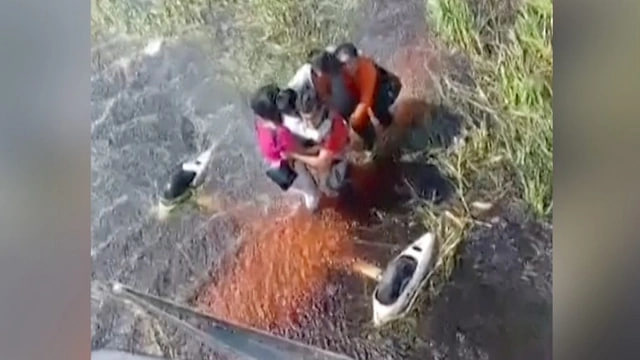 В Боливии спасли 5 человек, включая ребенка, которые провели 36 часов в окружении аллигаторов после крушения самолета