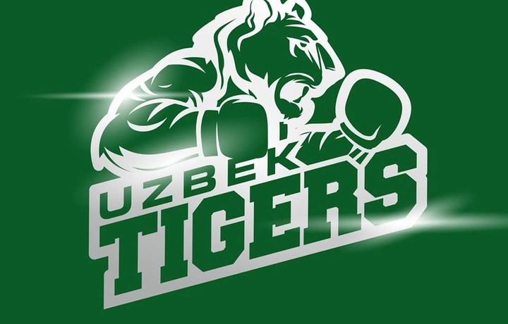 МОҚ: «Uzbek Tigers» фаолияти тўхтатилмайди»