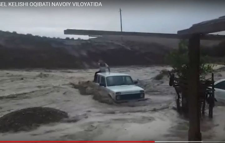 Sel kelishi Navoiy viloyati chorvadorlariga ham jiddiy zarar yetkazgan (video)