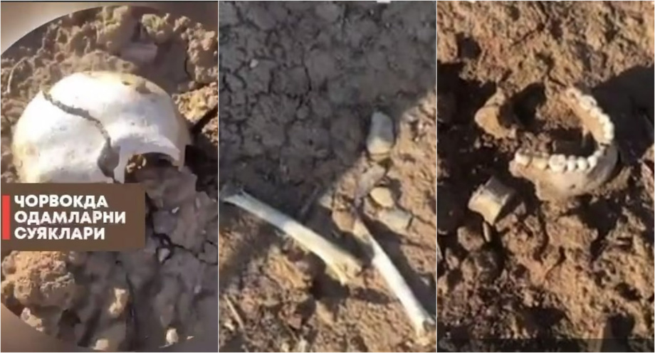 На берегу водохранилища Чарвак обнаружили человеческие останки