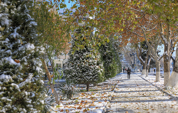 Yilning so‘nggi kunida qanday ob-havo kuzatiladi?