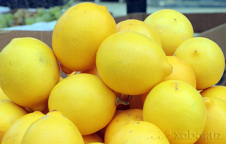 O‘zbekistonning chetga limon eksporti tushib ketdi