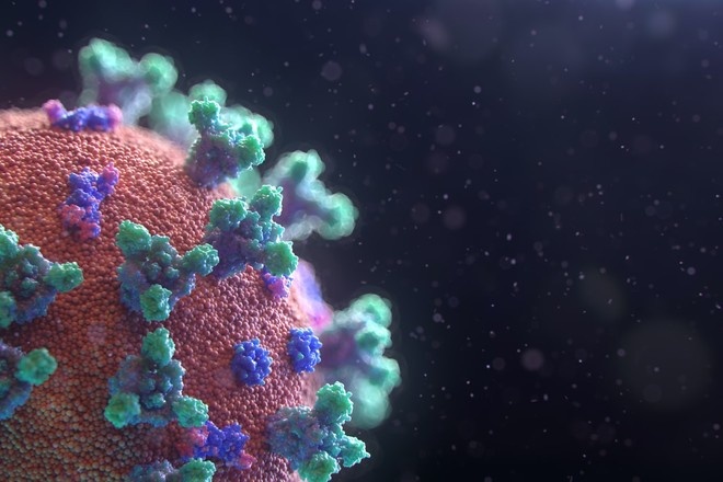 Olim koronavirus va gripp virusi mutatsiyalaridagi farqni aniqladi